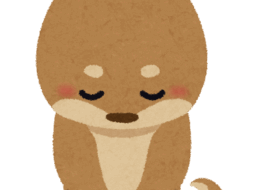 スタッフブログのサムネイル画像